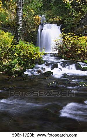 Waterfall in a forest, Twin Falls, Gifford Pinchot National Forest, Washington State, USA View Large Photo Image Stock Image - Waterfall in a forest, Twin Falls, Gifford Pinchot National Forest, Washington State, USA. Fotosearch