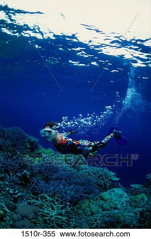 Woman swimming near a coral reef View Large Photo Image Stock Photography - Woman swimming near a coral reef. Fotosearch