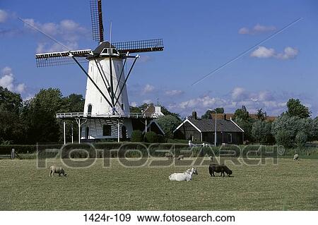Stock Photo - Yerseke Netherlands . Fotosearch