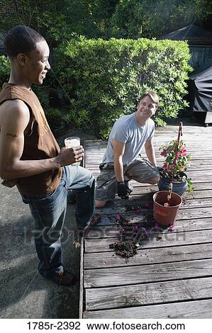 Young man moving plant to a new planter View Large Photo Image Stock Image - Young man moving plant to a new planter. Fotosearch