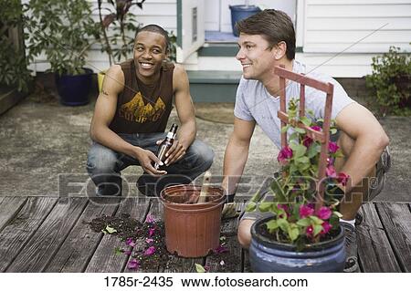 Young man moving plant to a new planter, friend watching View Large Photo Image Stock Photography - Young man moving plant to a new planter, friend watching. Fotosearch
