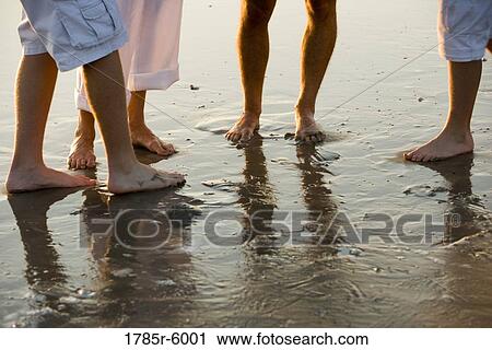 Stock Image - Close-up of bare feet of a family of four standing on wet sand on beach. Fotosearch