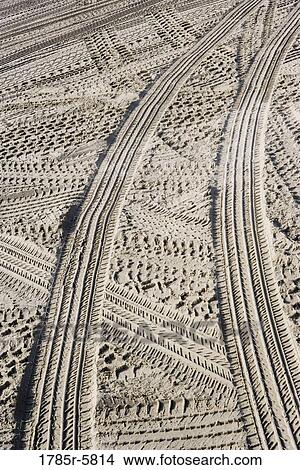 Elevated view of tire marks on sand View Large Photo Image Picture - Elevated view of tire marks on sand. Fotosearch