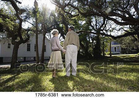 Rear view of mature couple holding hands under oak trees View Large Photo Image Stock Image - Rear view of mature couple holding hands under oak trees. Fotosearch