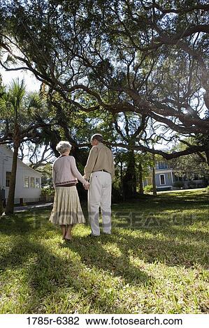 Stock Image - Rear view of mature couple holding hands under oak trees. Fotosearch