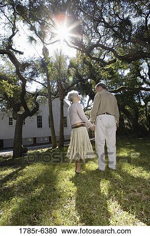Rear view of mature couple standing under oak trees View Large Photo Image Stock Image - Rear view of mature couple standing under oak trees. Fotosearch