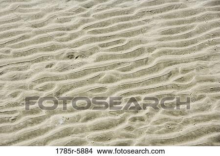 Sand with ripples formed by wave action View Large Photo Image Picture - Sand with ripples formed by wave action. Fotosearch