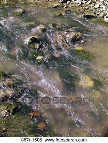 A stream flowing View Large Photo Image Stock Photograph - A stream flowing. Fotosearch