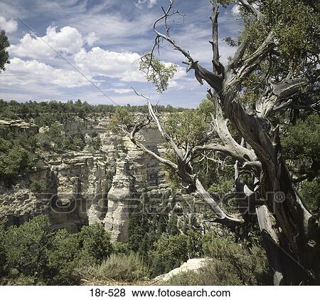Aerial view of a cliff and trees View Large Photo Image Stock Photo - Aerial view of a cliff and trees. Fotosearch