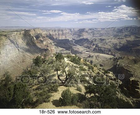 Aerial view of mountains and trees View Large Photo Image Stock Photograph - Aerial view of mountains and trees. Fotosearch