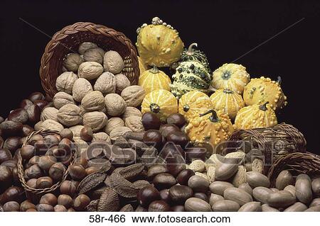 Assorted nuts laid out with baby gourds View Large Photo Image Stock Photograph - Assorted nuts laid out with baby gourds. Fotosearch