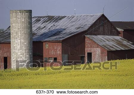 Barn on a farm, Ohio, USA View Large Photo Image Stock Image - Barn on a farm, Ohio, USA. Fotosearch