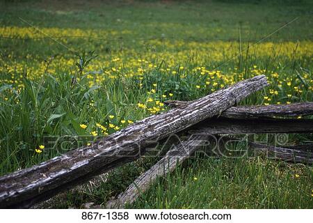 Broken wooden fence in a field View Large Photo Image Stock Photo - Broken wooden fence in a field. Fotosearch