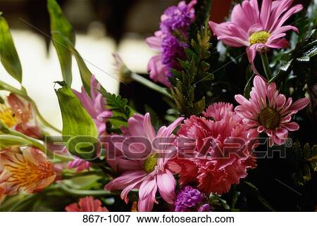 Stock Photo - Bunch of flowers. Fotosearch