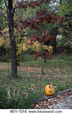 Carved jack-o-lantern on the ground outdoors View Large Photo Image Stock Photo - Carved jack-o-lantern on the ground outdoors. Fotosearch
