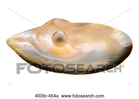 Close-up of a pearl in a shell View Large Photo Image Stock Image - Close-up of a pearl in a shell. Fotosearch