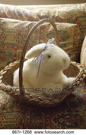 Close-up of a stuffed toy in a basket View Large Photo Image Stock Photo - Close-up of a stuffed toy in a basket. Fotosearch