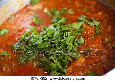Close-up of fresh spaghetti with tomato sauce and oregano View Large Photo Image Stock Image - Close-up of fresh spaghetti with tomato sauce and oregano. Fotosearch