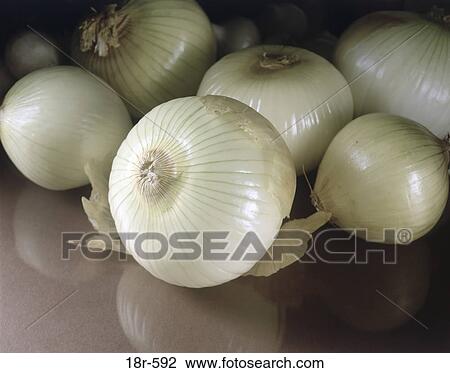 Close-up of onions View Large Photo Image Stock Image - Close-up of onions. Fotosearch
