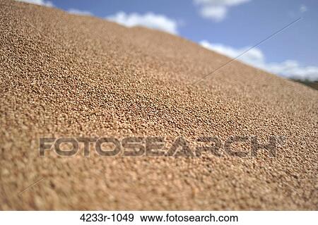 Close-up of sand, Bavaria, Germany View Large Photo Image Stock Photo - Close-up of sand, Bavaria, Germany. Fotosearch