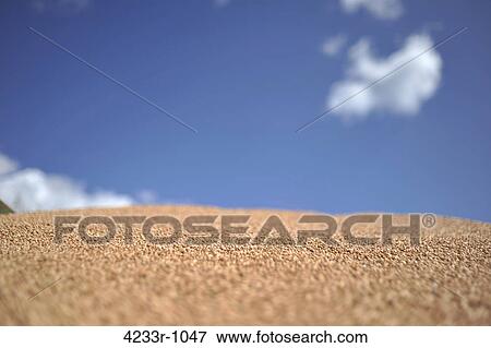 Close-up of sand with sky in background, Bavaria, Germany View Large Photo Image Stock Photo - Close-up of sand with sky in background, Bavaria, Germany. Fotosearch