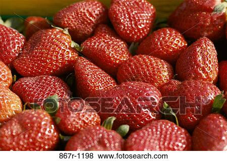 Close-up of strawberries View Large Photo Image Stock Photo - Close-up of strawberries. Fotosearch