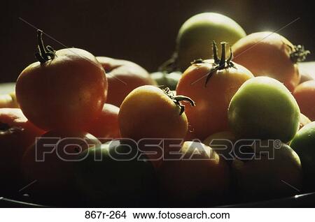 Close-up of tomatoes View Large Photo Image Picture - Close-up of tomatoes. Fotosearch
