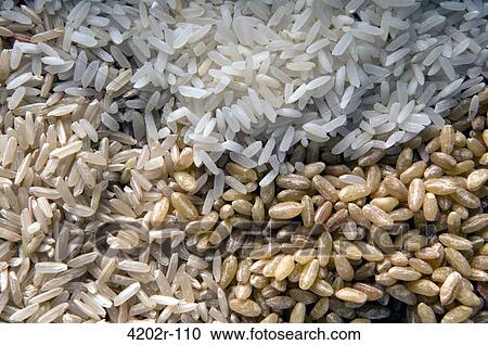 Stock Image - Close-up of uncooked rice. Fotosearch