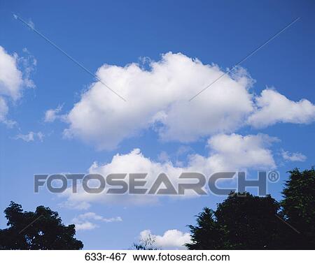Clouds above trees View Large Photo Image Stock Photo - Clouds above trees. Fotosearch