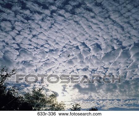 Clouds in the sky View Large Photo Image Stock Photograph - Clouds in the sky. Fotosearch