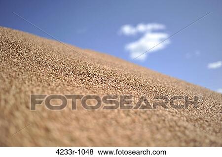 Extreme close up of sand, Bavaria, Germany View Large Photo Image Stock Photo - Extreme close up of sand, Bavaria, Germany. Fotosearch