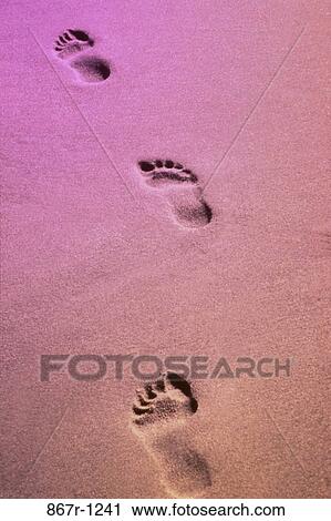 Footprints in the sand at the beach View Large Photo Image Stock Image - Footprints in the sand at the beach. Fotosearch