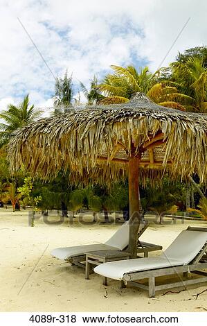 French Polynesia, Society Islands, Leeward Islands, Bora Bora, Lounge chairs under sunshade on beach View Large Photo Image Stock Photo - French Polynesia, Society Islands, Leeward Islands, Bora Bora, Lounge chairs under sunshade on beach. Fotosearch