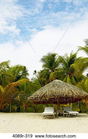 French Polynesia, Society Islands, Leeward Islands, Bora Bora, Empty lounge chairs under palapa on beach View Large Photo Image Stock Photo - French Polynesia, Society Islands, Leeward Islands, Bora Bora, Empty lounge chairs under palapa on beach. Fotosearch