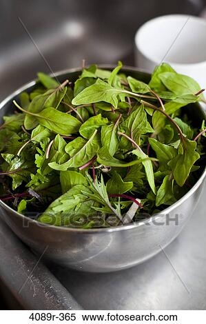 Stock Photography - Fresh organic salad greens in bowl, high angle view. Fotosearch