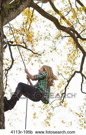 Girl climbing up tree View Large Photo Image Stock Image - Girl climbing up tree. Fotosearch