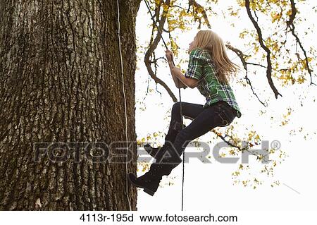 Girl climbing up tree View Large Photo Image Stock Image - Girl climbing up tree. Fotosearch