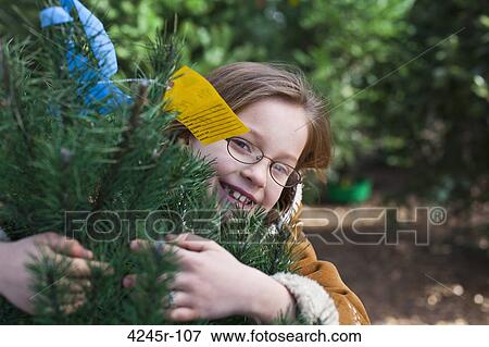 Girl hugging a Christmas tree and smiling View Large Photo Image Stock Photo - Girl hugging a Christmas tree and smiling. Fotosearch