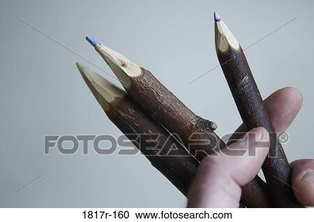 Hand holding twig shaped pencil crayons View Large Photo Image Stock Image - Hand holding twig shaped pencil crayons. Fotosearch