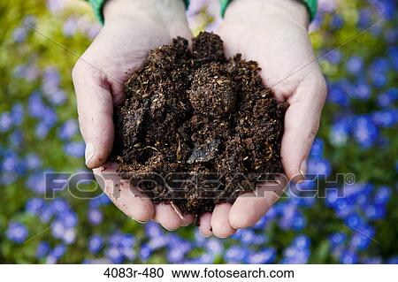 Stock Image - Human hand holding soil. Fotosearch