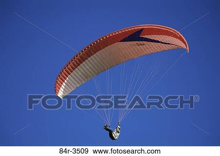 Low angle view of a man parasailing View Large Photo Image Stock Photo - Low angle view of a man parasailing. Fotosearch