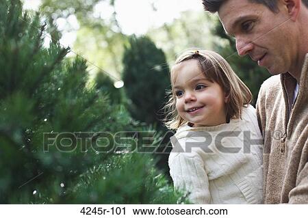 Mid adult man shopping with his daughter for a Christmas tree View Large Photo Image Stock Image - Mid adult man shopping with his daughter for a Christmas tree. Fotosearch