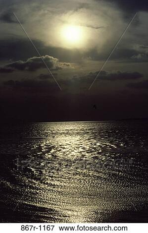 Stock Photo - Moonlight reflecting on a lake. Fotosearch