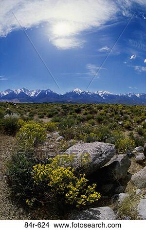 Panoramic view of a mountain range, Sierra Nevada, California, USA View Large Photo Image Picture - Panoramic view of a mountain range, Sierra Nevada, California, USA. Fotosearch