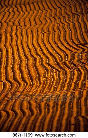 Pattern on sand View Large Photo Image Stock Photo - Pattern on sand. Fotosearch