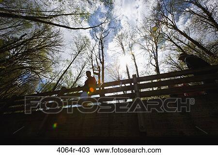 Portland, Oregon, USA, Man on bridge in forest View Large Photo Image Stock Image - Portland, Oregon, USA, Man on bridge in forest. Fotosearch