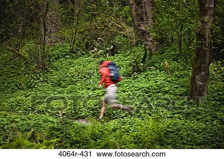 Portland, Oregon, USA, Man trail running with backpack View Large Photo Image Stock Image - Portland, Oregon, USA, Man trail running with backpack. Fotosearch