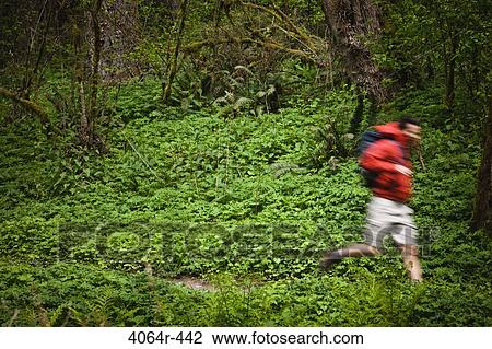 Stock Image - Portland, Oregon, USA, Man trail running with backpack. Fotosearch