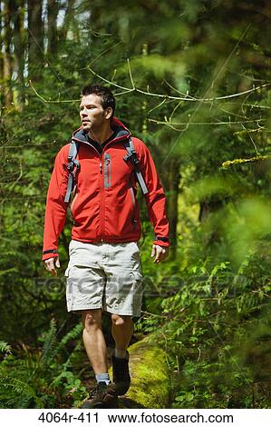 Portland, Oregon, USA, Man walking on log in forest View Large Photo Image Stock Image - Portland, Oregon, USA, Man walking on log in forest. Fotosearch