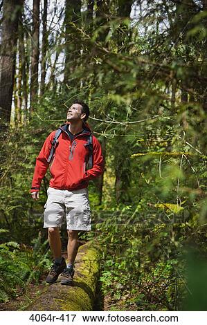 Portland, Oregon, USA, Man walking on log in forest View Large Photo Image Stock Photo - Portland, Oregon, USA, Man walking on log in forest. Fotosearch